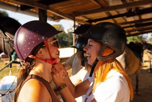 Fazana: Sunset 1-hour Horse Riding in Nature with Guide