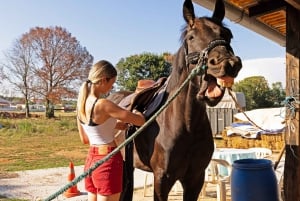 Fazana: Sunset 1-hour Horse Riding in Nature with Guide