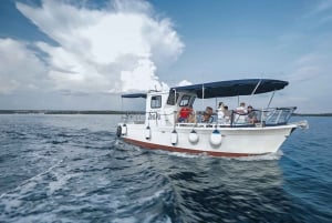 FAŽANA: Brijuni boat trip+stop & Swim at St. Jerolim Island