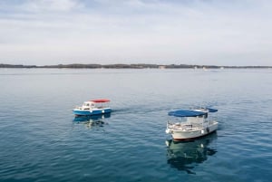 FAŽANA: Brijuni boat trip+stop & Swim at St. Jerolim Island