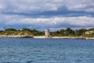 FAŽANA: Brijuni boat trip+stop & Swim at St. Jerolim Island