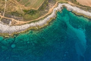 Fažana: tour en barco por el Parque Nacional de Brijuni y chapuzón