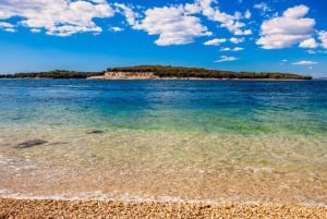 Fažana: tour en barco por el Parque Nacional de Brijuni y chapuzón