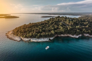 FAŽANA: SAFARI CON DELFINES