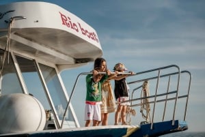 FAŽANA: SAFARI CON DELFINES