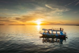 ФАЖАНА: САФАРИ С ДЕЛЬФИНАМИ