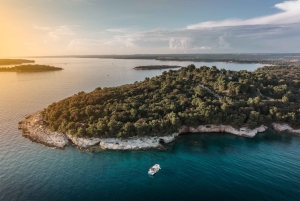 ФАЖАНА: САФАРИ С ДЕЛЬФИНАМИ