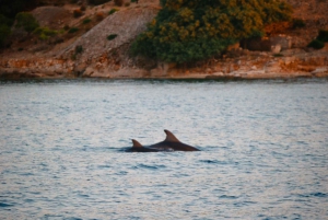 Fazana: Dolphin/Sunset Tour