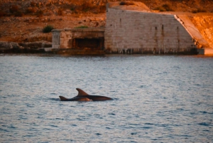 Fazana: Dolphin/Sunset Tour