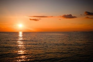 Fazana: Dolphin/Sunset Tour