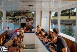 Fažana: Glassbåttur i Brijuni nasjonalpark
