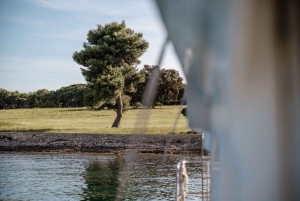 Fažana: Glassbåttur i Brijuni nasjonalpark