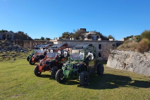 Fažana: Guided Buggy Tour in the Heart of Istria