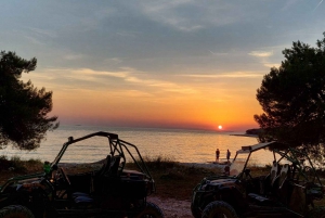 Fažana: Guided Buggy Tour in the Heart of Istria