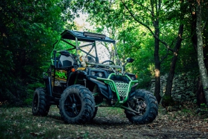 Fažana: Guided Buggy Tour in the Heart of Istria