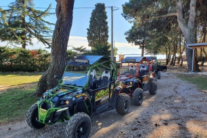 Fažana: Guided Buggy Tour in the Heart of Istria