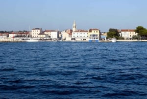 FAZANA Koralj DOLPHIN Boat Tour NP Brijuni
