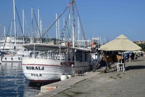 FAZANA Koralj DOLPHIN Boat Tour NP Brijuni