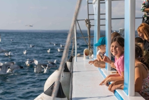ファザーナ：ブリユニ国立公園のパノラマと島での泳ぎ休憩