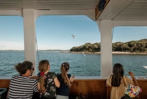 ファザーナ：ブリユニ国立公園のパノラマと島での泳ぎ休憩