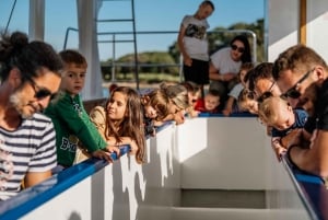ファザーナ：ブリユニ国立公園のパノラマと島での泳ぎ休憩