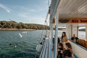 ファザーナ：ブリユニ国立公園のパノラマと島での泳ぎ休憩