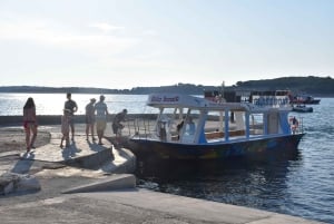 ファザーナ：ブリユニ国立公園のパノラマと島での泳ぎ休憩