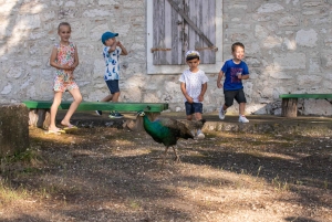 ファザーナ：ブリユニ国立公園のパノラマと島での泳ぎ休憩