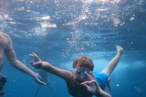 ファザーナ：ブリユニ国立公園のパノラマと島での泳ぎ休憩