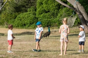 ファザーナ：ブリユニ国立公園のパノラマと島での泳ぎ休憩