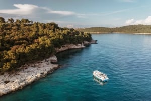 ファザーナ：ブリユニ国立公園のパノラマと島での泳ぎ休憩