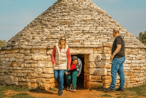 Fažana/Pula: Officiell Istra Buggy 'Classico'-tur