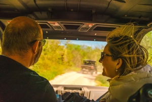 Fažana/Pula: Officiell Istra Buggy 'Classico'-tur