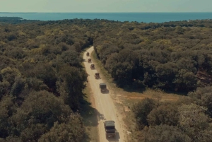 Fažana/Pula: Officiell Istra Buggy 'Classico'-tur