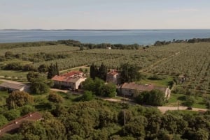 Fažana/Pula: Officiell Istra Buggy 'Classico'-tur