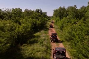 Fažana/Pula: Officiell Istra Buggy 'Classico'-tur