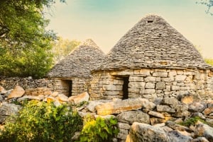 Fažana/Pula: Officiell Istra Buggy 'Classico'-tur