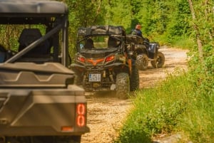 Fažana/Pula: Officiell Istra Buggy 'Classico'-tur