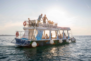 FAŽANA: SAFARI CON DELFINES