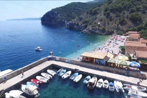 From Bakar: Swimming, snorkeling & sightseeing cruises