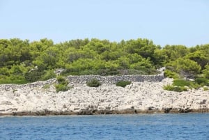 From Biograd: Golden Island of Vrgada Trip with Lunch