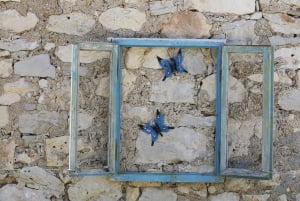 Fra Biograd: Tur til den gylne øya Vrgada med lunsj