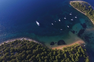 Fra Biograd: Tur til den gylne øya Vrgada med lunsj