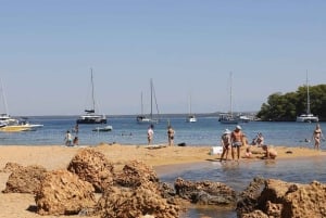 Fra Biograd: Tur til den gylne øya Vrgada med lunsj