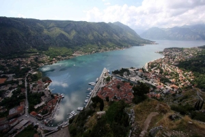 Från Cavtat Dagsutflykt Montenegro Perast och Kotor