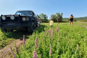 Von Cavtat aus: Konavle Tal Off-Road Jeep Safari mit Mittagessen