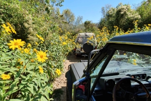 ツァヴタット発：コナヴレ渓谷オフロード ジープ サファリ（ランチ付き）