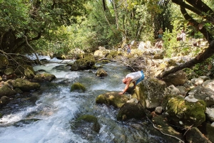 ツァヴタット発：コナヴレ渓谷オフロード ジープ サファリ（ランチ付き）