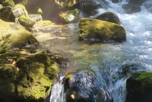 ツァヴタット発：コナヴレ渓谷オフロード ジープ サファリ（ランチ付き）