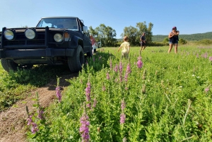 ツァヴタット発：コナヴレ渓谷オフロード ジープ サファリ（ランチ付き）